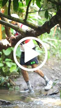 BIB:  <button type="button" onclick="openModal(27523927)" class="btn btn-primary btn-sm float-right" data-toggle="modal" data-target=".modal-high-quality">
                <i class="fa fa-download"></i> Download
                </button>